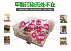 快速裝修出租，甲醛超標(biāo)嚴(yán)重