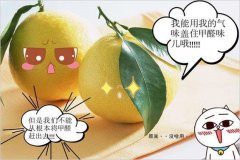 去除甲醛的方法多種多樣，哪種最實(shí)用靠譜